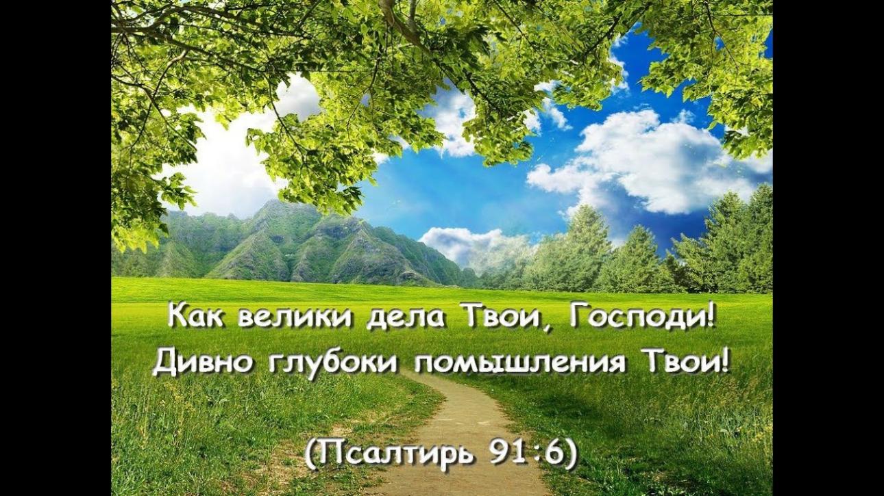 ДИВНЫ ДЕЛА ТВОИ ГОСПОДИ!...